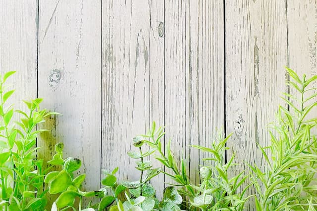 お家にいると…