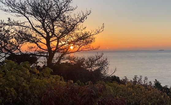 2025年のスタート！外壁リフォームで理想の住まいづくりをサポートします