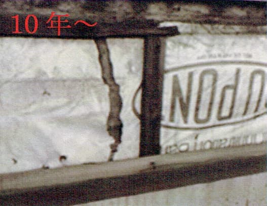 タイベック10年