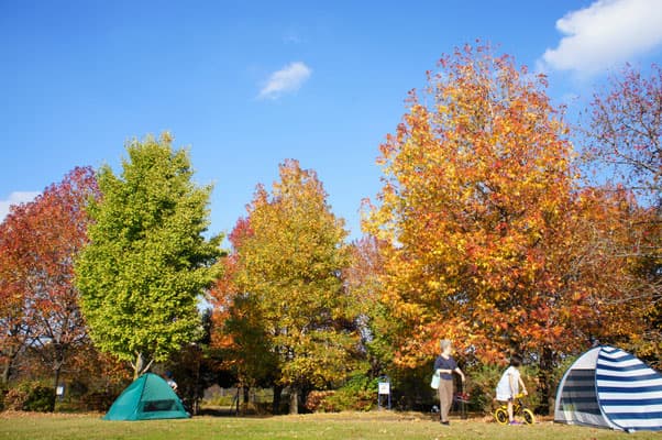 家族レクリエーション 1